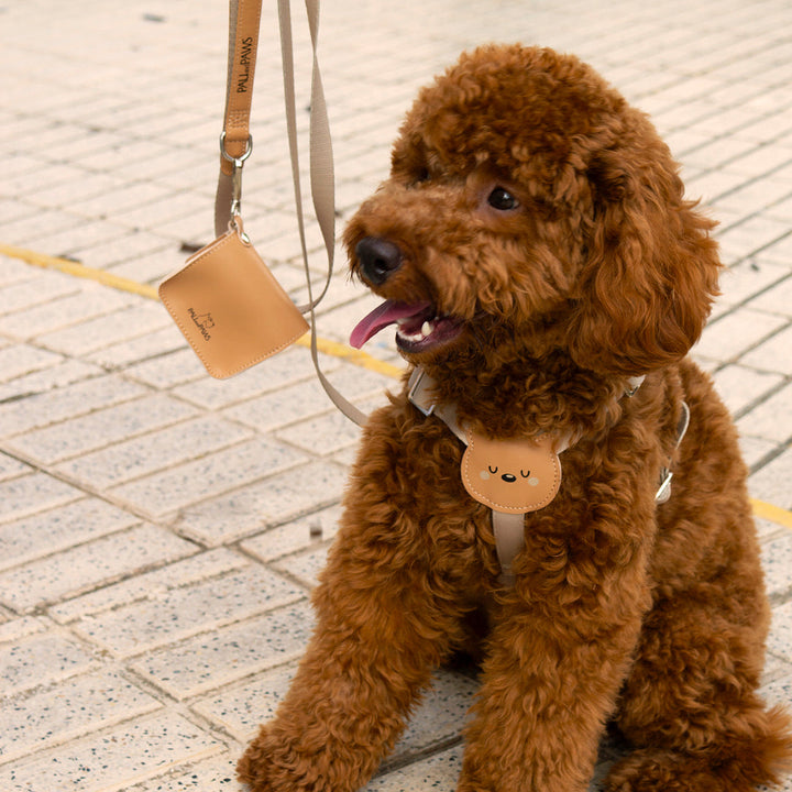 Just Teddy Straps Harness