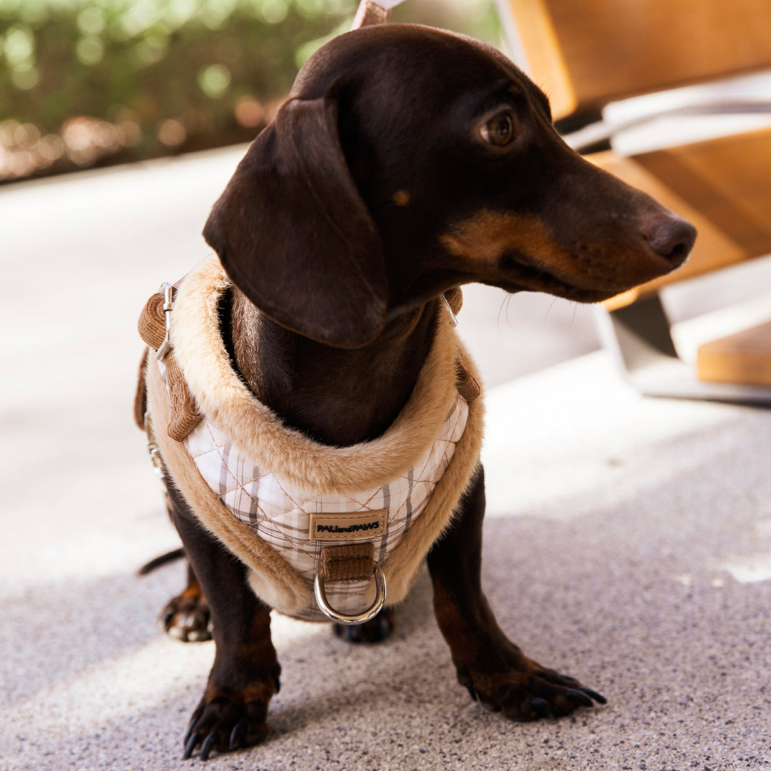 Arnés Ajustable Cozy Puppy