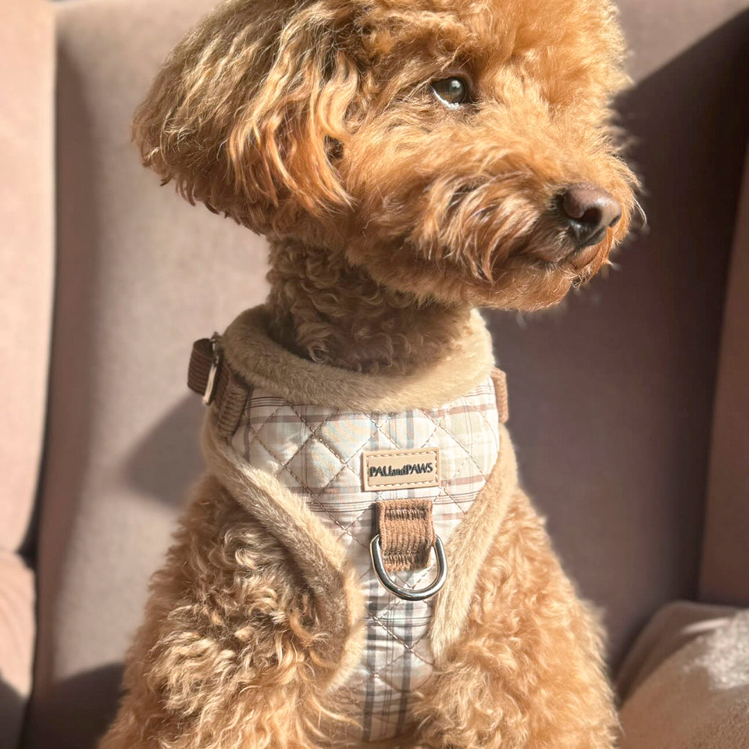 Arnés Ajustable Cozy Puppy