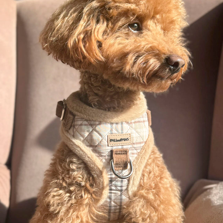 Arnés Ajustable Cozy Puppy