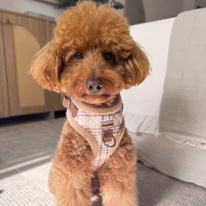 Arnés Ajustable Cozy Puppy
