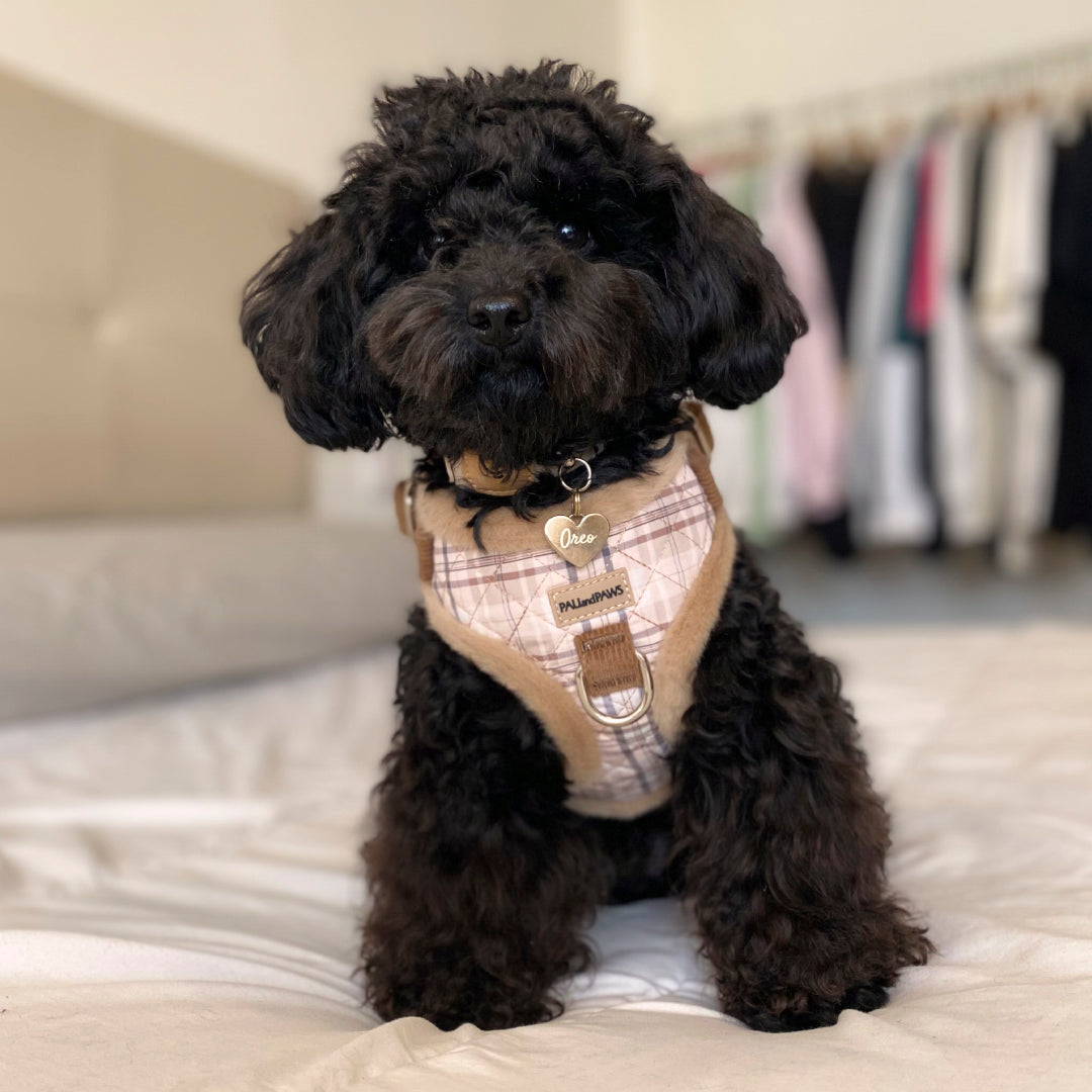 Arnés Ajustable Cozy Puppy