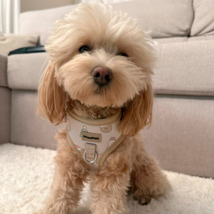 Arnés Ajustable Xmas