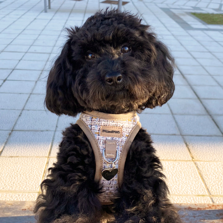 Arnés Body Royal Puppy