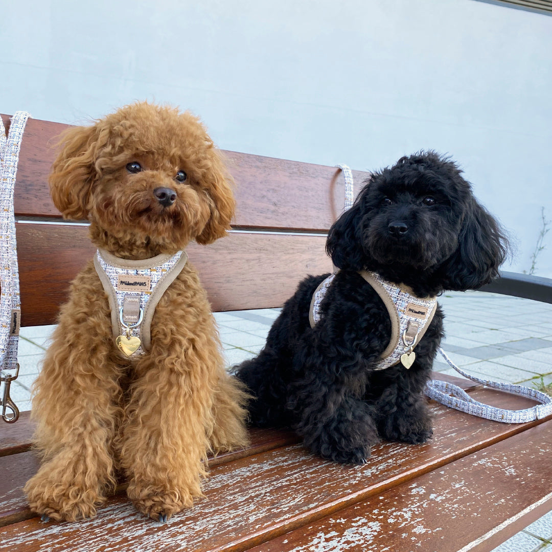 Arnés Body Royal Puppy