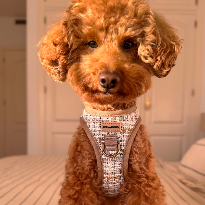 Arnés Body Royal Puppy