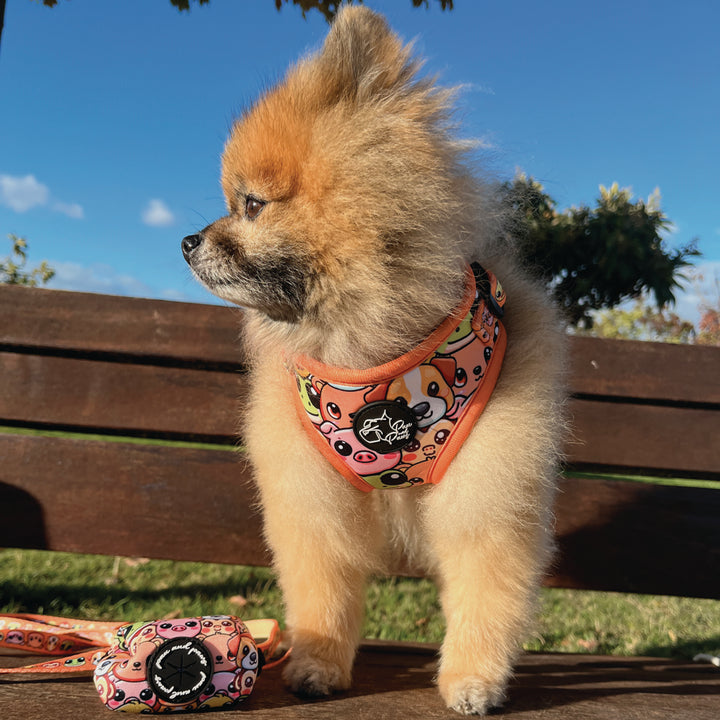 Perro Pomerania con Arnés Animalitos de Pau and Paws