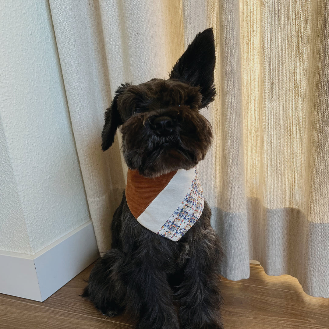 Perro Schnauzer con bandana tweed de Pau and Paws