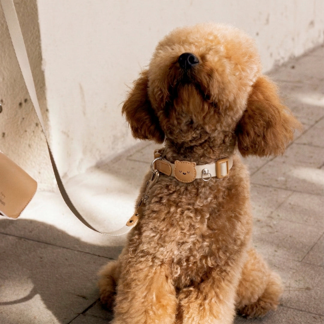 Collar Ajustable Just Teddy