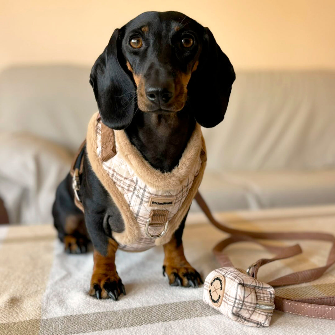 Portabolsas Cozy Puppy