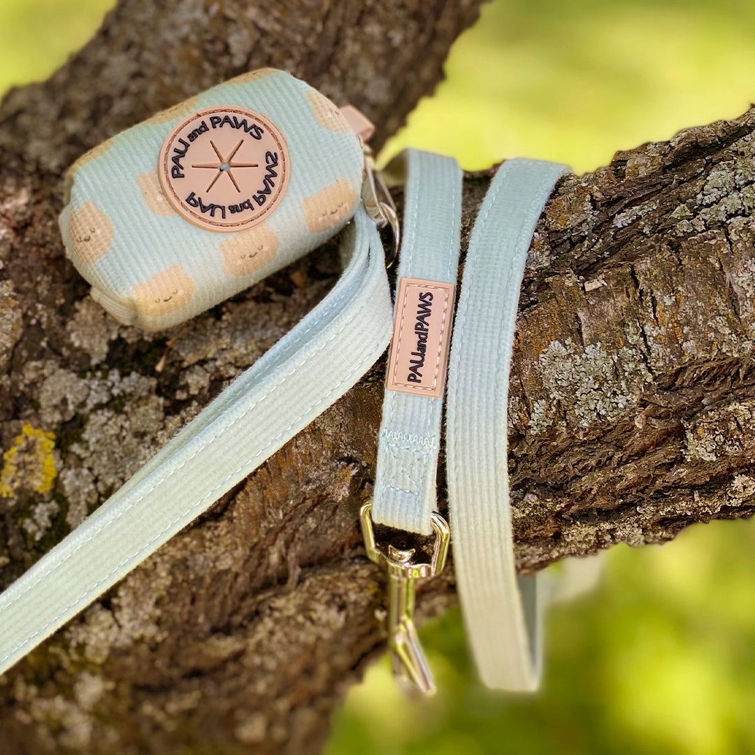 Soft Teddy Walking Pack
