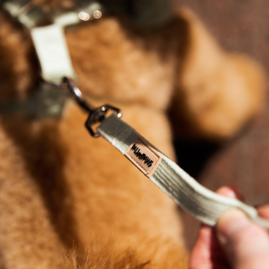 Soft Teddy Strap
