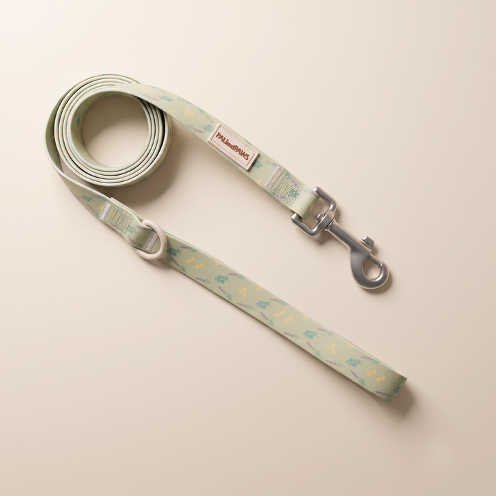 Correa Waterproof