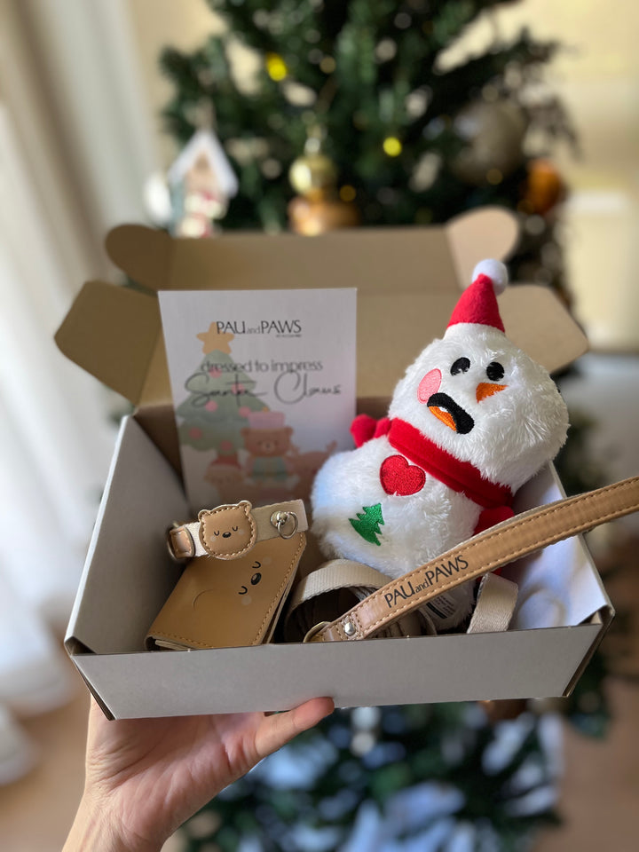 Pack Navideño Just Teddy