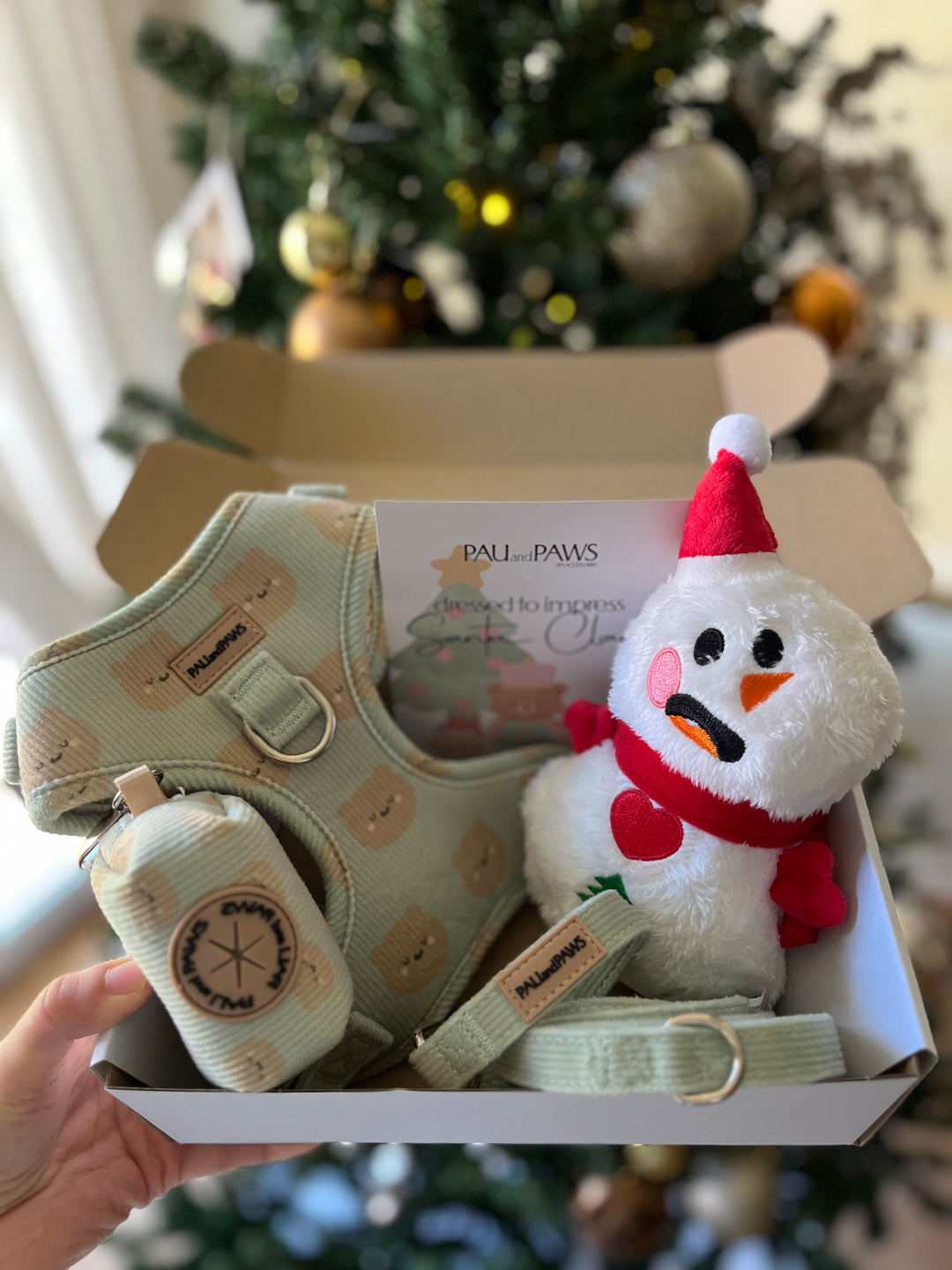 Pack Navideño Soft Teddy