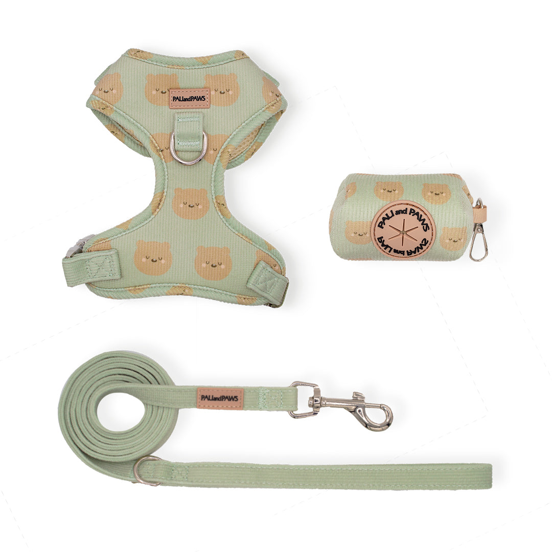 Soft Teddy Walking Pack